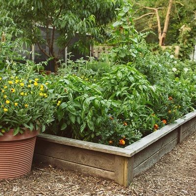 hinterhof-gemusegarten-design-ideen-40 Backyard vegetable garden design ideas