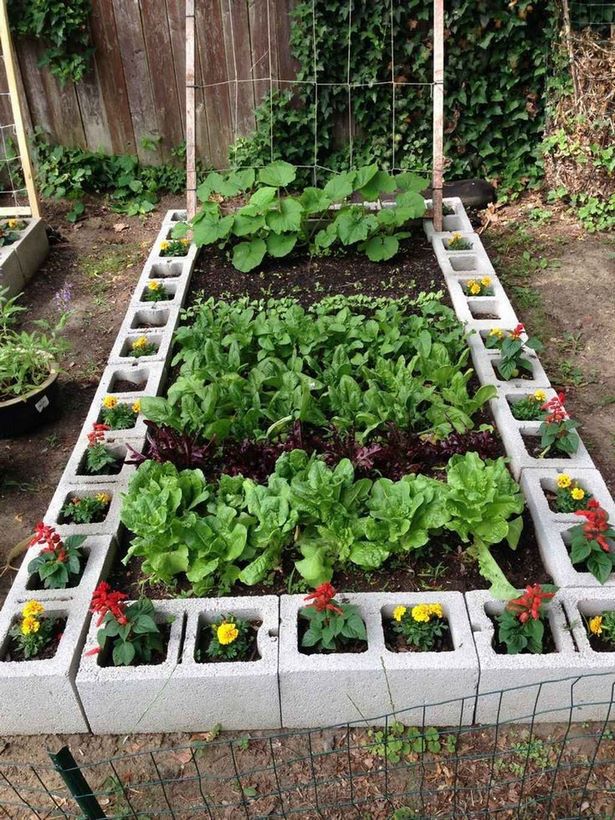 hinterhof-gemusegarten-design-ideen-40_18 Backyard vegetable garden design ideas