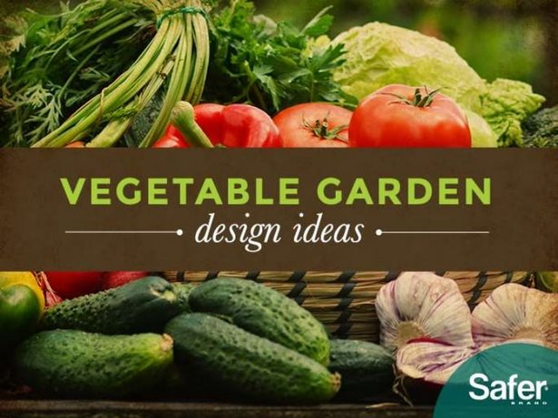 hinterhof-gemusegarten-design-ideen-40_3 Backyard vegetable garden design ideas