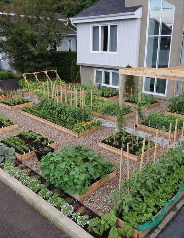 hinterhof-gemusegarten-design-ideen-40_4 Backyard vegetable garden design ideas