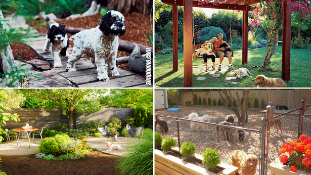hinterhof-landschaftsbau-ideen-fur-hunde-19_3 Backyard landscaping ideas for dogs