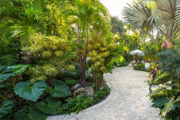 hinterhof-tropische-landschaftsgestaltung-ideen-68 Backyard tropical landscaping ideas