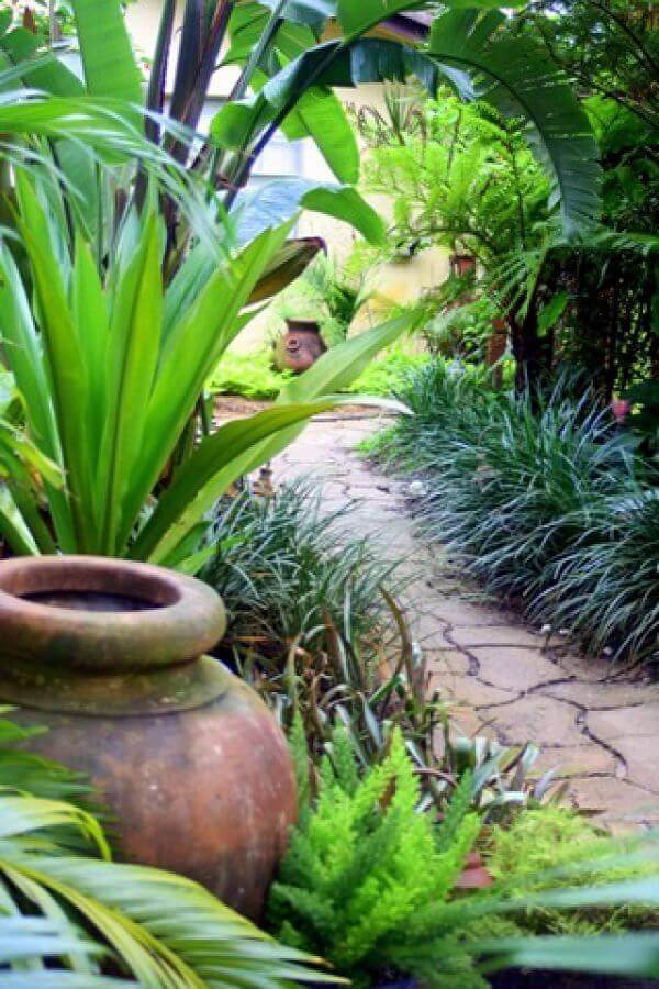 hinterhof-tropische-landschaftsgestaltung-ideen-68_2 Backyard tropical landscaping ideas