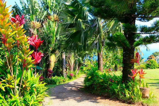 hinterhof-tropisches-paradies-ideen-51 Backyard tropical paradise ideas