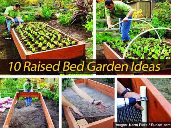 hochbeet-gemusegarten-ideen-91_11 Raised bed vegetable garden ideas
