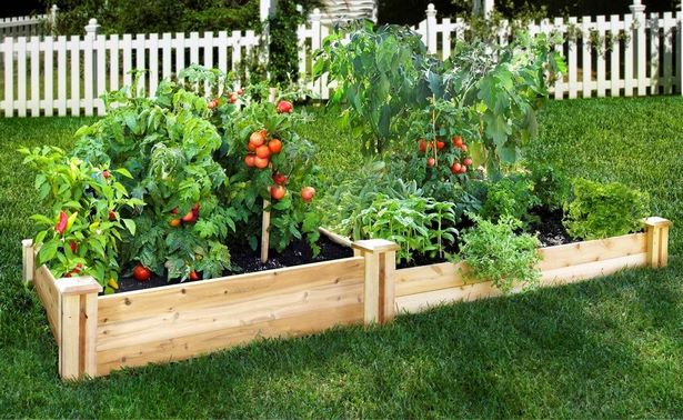 hochbeet-gemusegarten-ideen-91_17 Raised bed vegetable garden ideas
