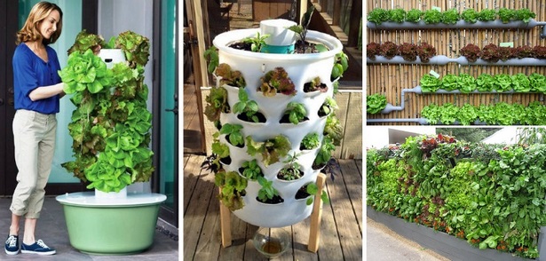 home-gemusegarten-design-ideen-38_12 Home vegetable garden design ideas