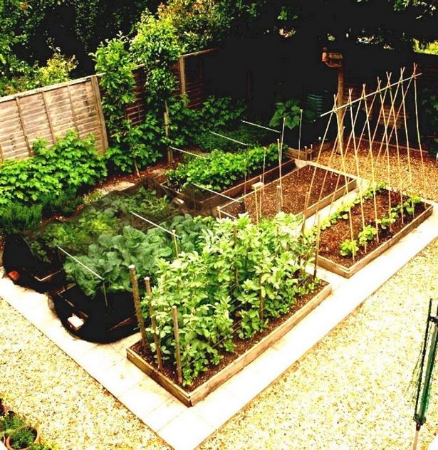 home-gemusegarten-design-ideen-38_16 Home vegetable garden design ideas