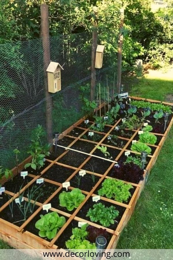 home-gemusegarten-design-ideen-38_3 Home vegetable garden design ideas