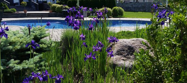 ideen-fur-die-poolgestaltung-95_8 Ideas for pool landscaping