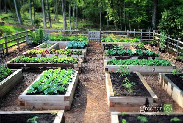 ideen-fur-erhohte-gemusegarten-84_12 Ideas for raised vegetable gardens