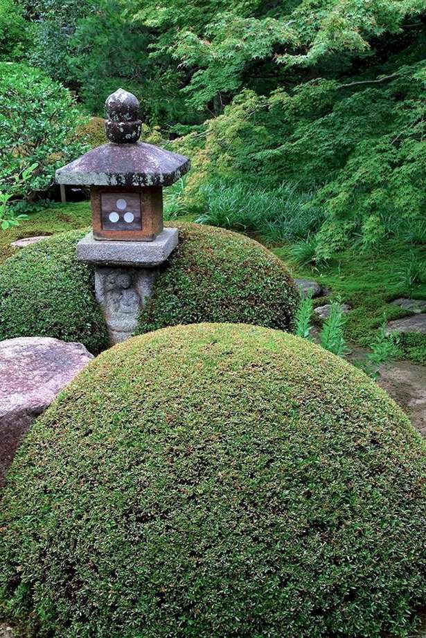 japanische-garten-ideen-pflanzen-93_5 Japanese garden ideas plants