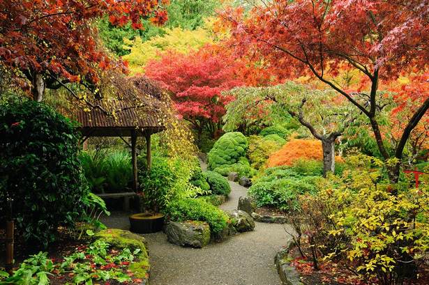 japanische-gartenpflanzung-ideen-84_4 Japanese garden planting ideas