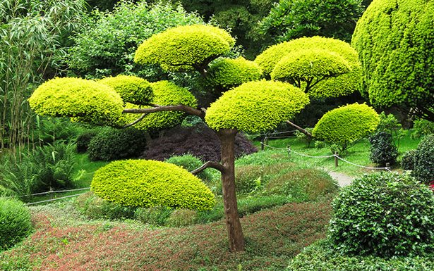 japanische-kleine-gartenideen-35_8 Japanese small garden ideas