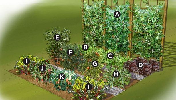 kleine-gemusegarten-layout-ideen-12_13 Small vegetable garden layout ideas