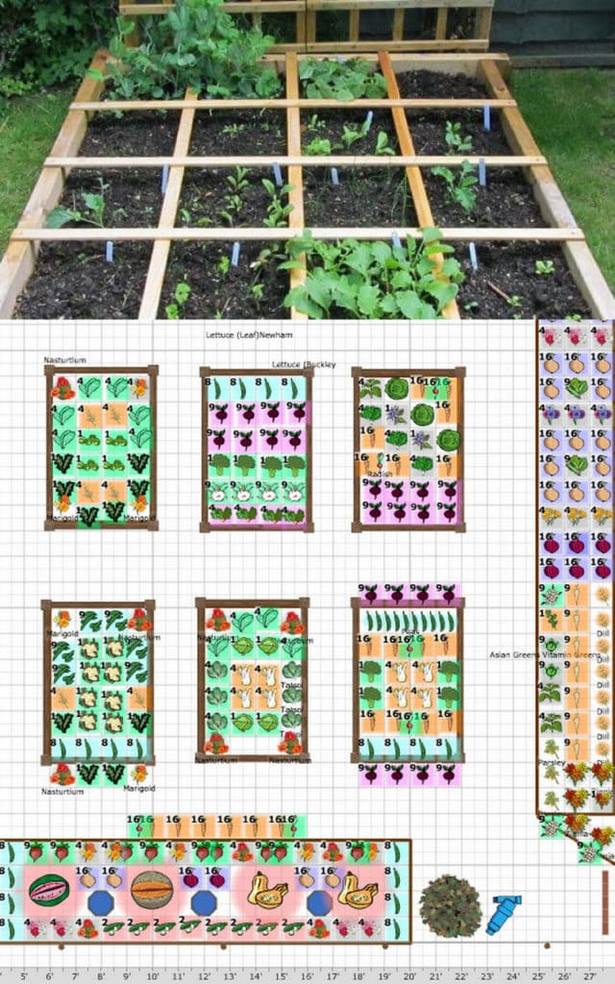 kleine-gemusegarten-layout-ideen-12_5 Small vegetable garden layout ideas