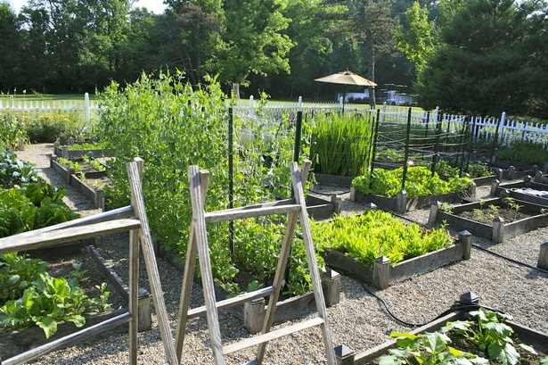 kleine-gemusegarten-layout-ideen-12_7 Small vegetable garden layout ideas