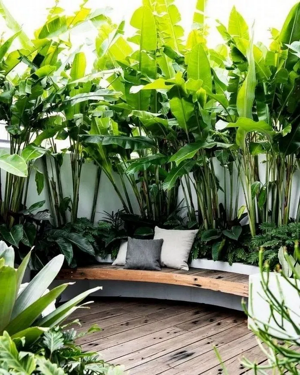 kleine-hinterhof-tropische-landschaftsgestaltung-ideen-67 Small backyard tropical landscaping ideas