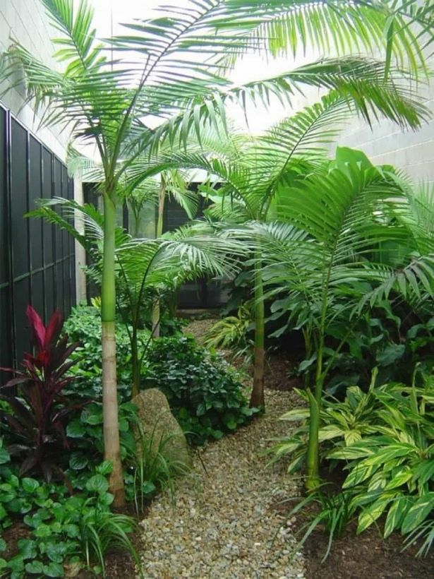 kleine-hinterhof-tropische-landschaftsgestaltung-ideen-67_10 Small backyard tropical landscaping ideas