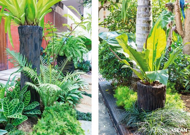 kleine-hinterhof-tropische-landschaftsgestaltung-ideen-67_5 Small backyard tropical landscaping ideas