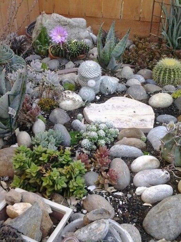 kleine-steingarten-design-ideen-49_11 Small rock garden design ideas