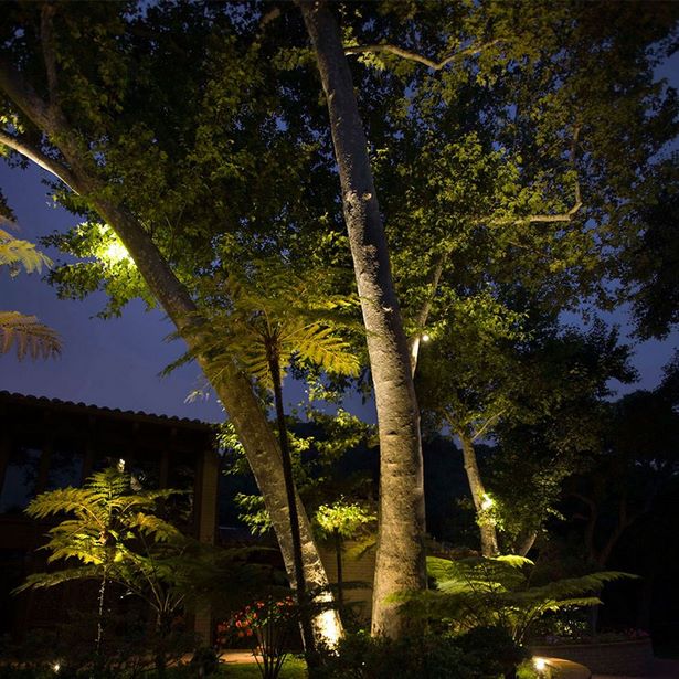 landschaft-baum-beleuchtung-ideen-47_2 Landscape tree lighting ideas