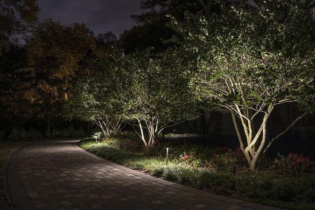 landschaft-beleuchtung-ideen-baume-46 Landscape lighting ideas trees