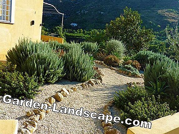 mediterrane-garten-design-ideen-79_8 Mediterranean garden design ideas