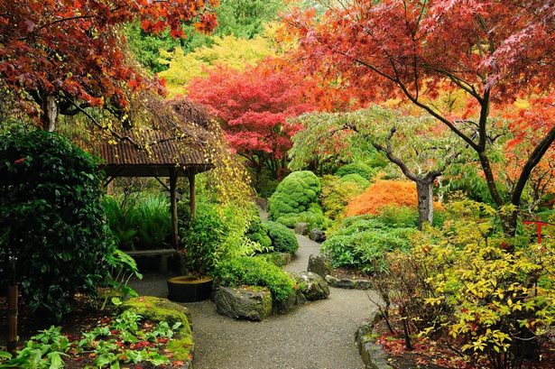orientalische-gartenideen-in-grossbritannien-47_13 Oriental garden ideas in uk