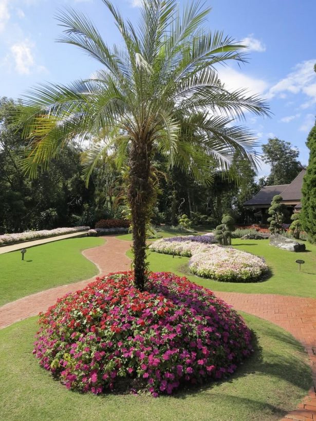 palme-garten-ideen-19 Palm tree garden ideas