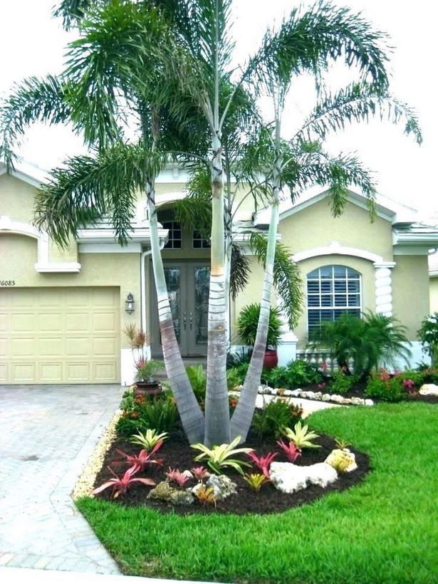 palme-garten-ideen-19_16 Palm tree garden ideas