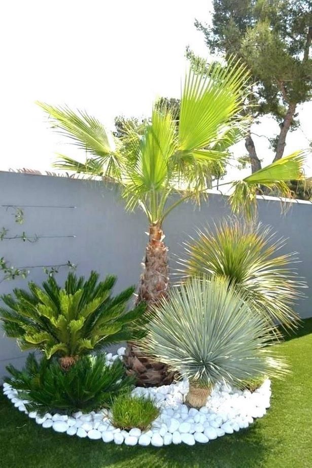 palme-garten-ideen-19_17 Palm tree garden ideas