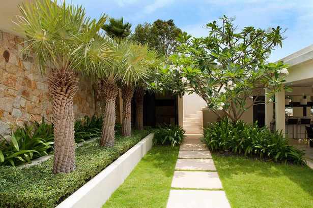 palme-landschaft-design-ideen-65_11 Palm tree landscape design ideas