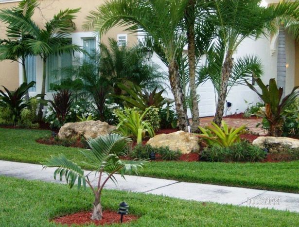 palme-landschaft-design-ideen-65_17 Palm tree landscape design ideas