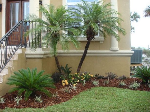 palme-landschaft-design-ideen-65_20 Palm tree landscape design ideas