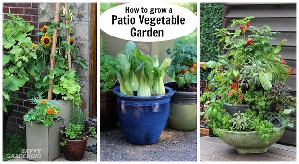 pflanzer-ideen-fur-terrasse-89_9 Planter ideas for patio