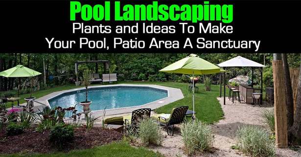 pool-landschaft-ideen-pflanzen-61_7 Pool landscape ideas plants