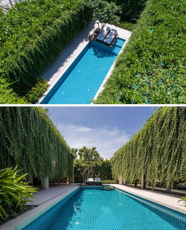 pool-privatsphare-landschaftsbau-ideen-67_10 Pool privacy landscaping ideas