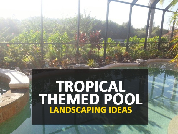pool-tropische-landschaftsgestaltung-ideen-85_15 Pool tropical landscaping ideas