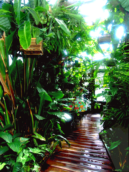 regenwald-garten-ideen-02 Rainforest garden ideas