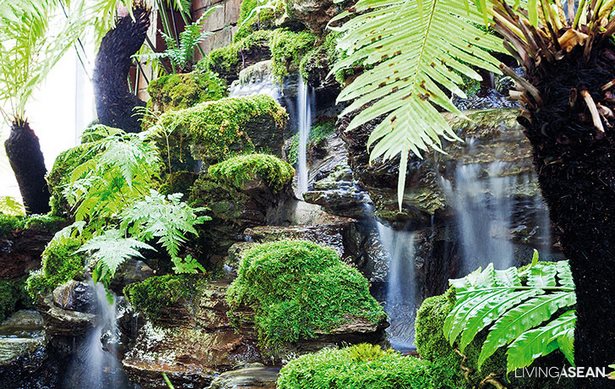 regenwald-garten-ideen-02_18 Rainforest garden ideas