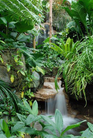 regenwald-garten-ideen-02_3 Rainforest garden ideas