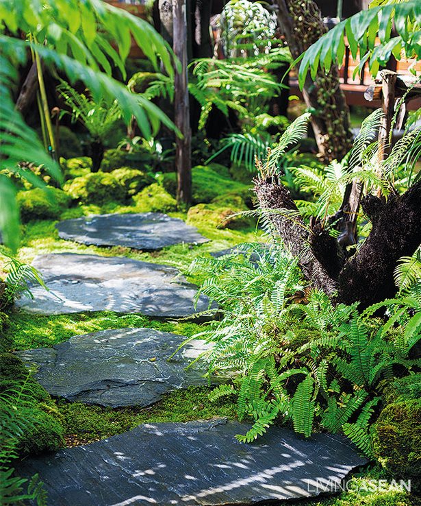 regenwald-garten-ideen-02_4 Rainforest garden ideas