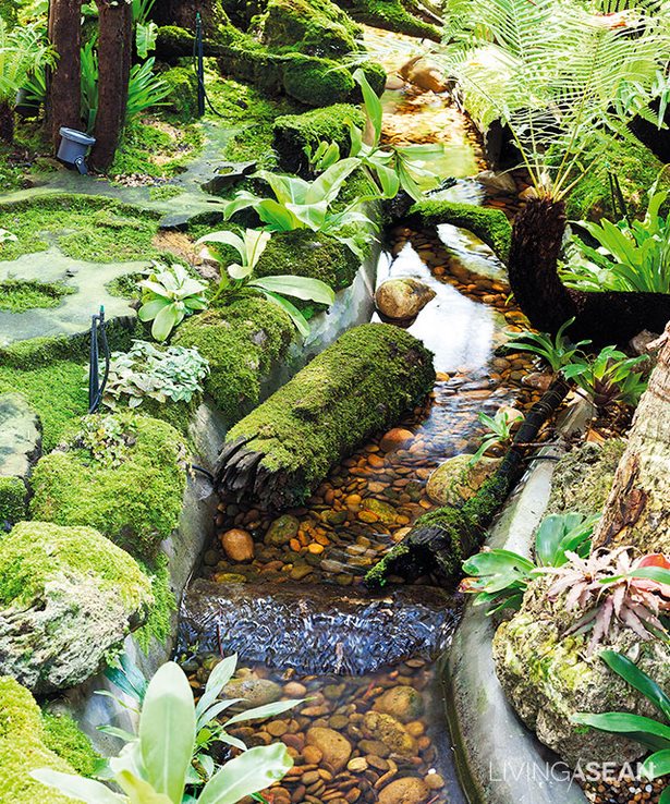 regenwald-garten-ideen-02_6 Rainforest garden ideas