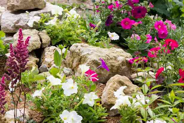 rock-blumengarten-ideen-68_18 Rock flower garden ideas