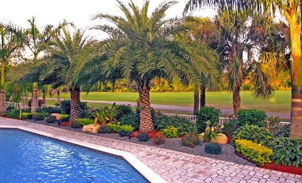 south-florida-landschaftsgestaltung-ideen-76_7 South florida landscape design ideas