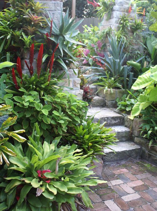 subtropische-garten-design-ideen-42_14 Subtropical garden design ideas