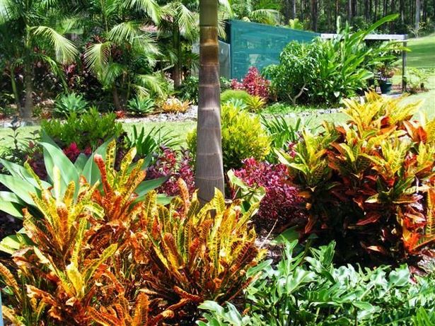subtropische-gartenideen-01_12 Subtropical garden ideas