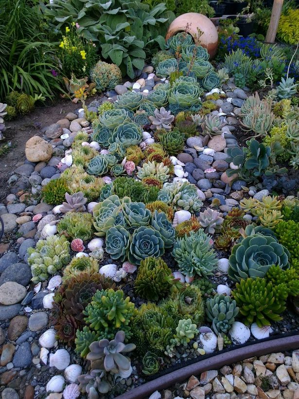 sukkulente-steingarten-ideen-48_2 Succulent rock garden ideas