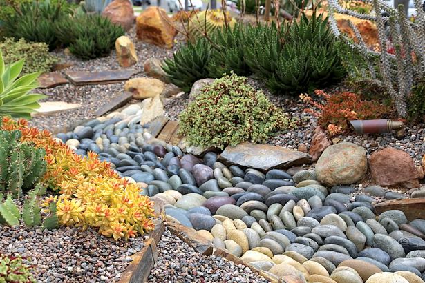 sukkulente-steingarten-ideen-48_4 Succulent rock garden ideas